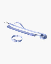 BuddyArmor  Light Alloy Collar Pro + Light Alloy Leash