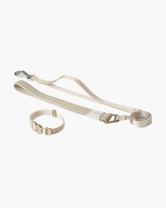 BuddyArmor  Light Alloy Collar Pro + Light Alloy Leash